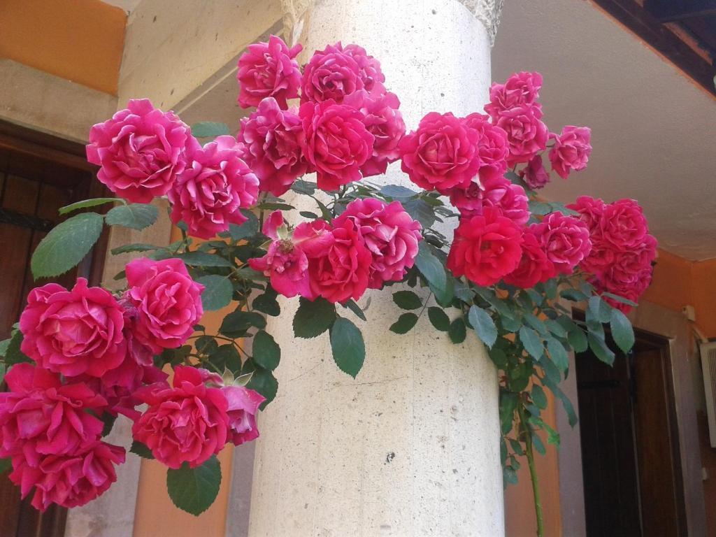 Akropolis Guest House Бергама Екстериор снимка
